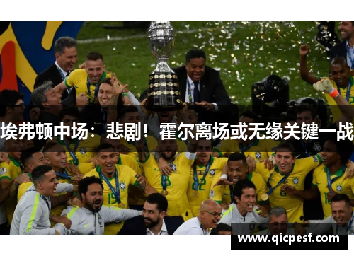 埃弗顿中场：悲剧！霍尔离场或无缘关键一战